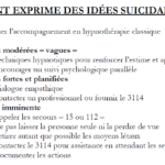 Synthèse des actions à réaliser en cas de crise suicidfa